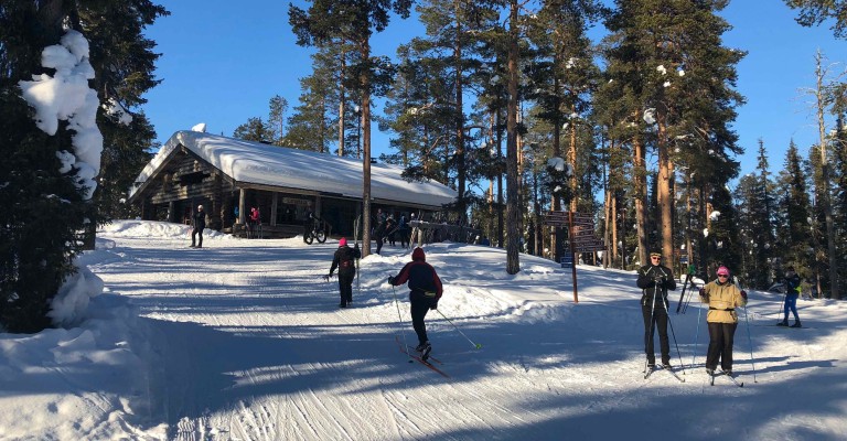 Cross country skiing in Lapland