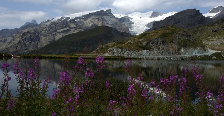 Tour de Monte Rosa