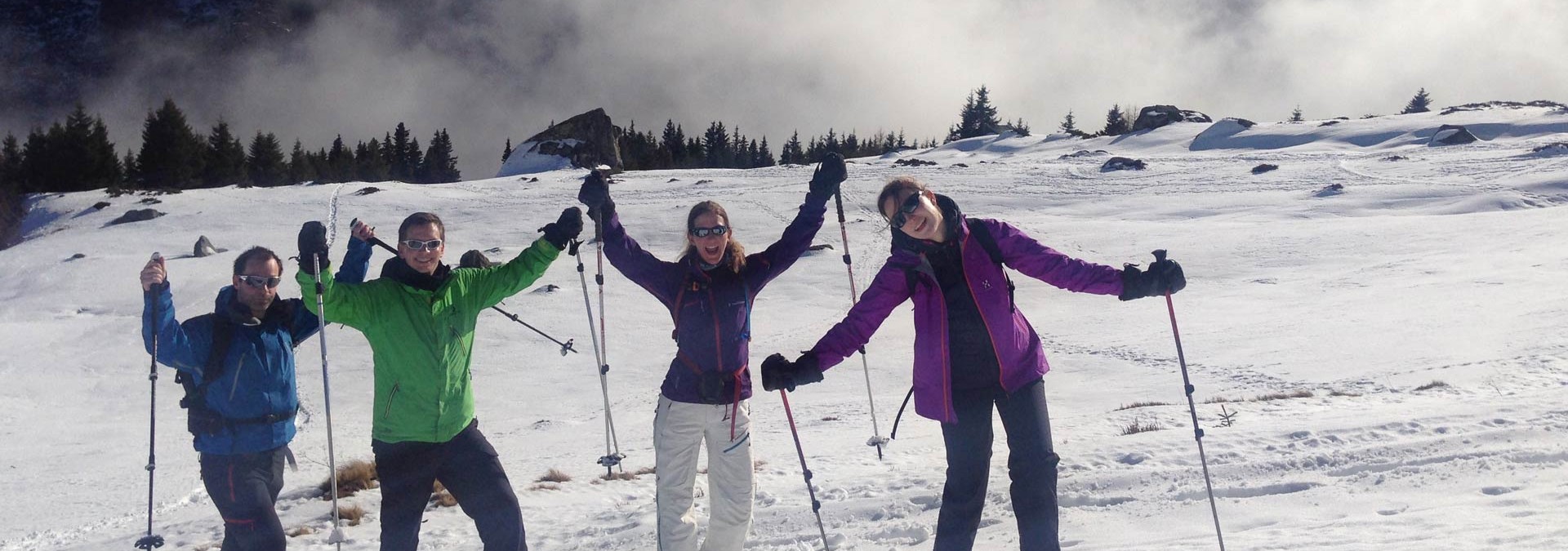 Chamonix Snowshoe Adventure - sunshine, snow and mountains