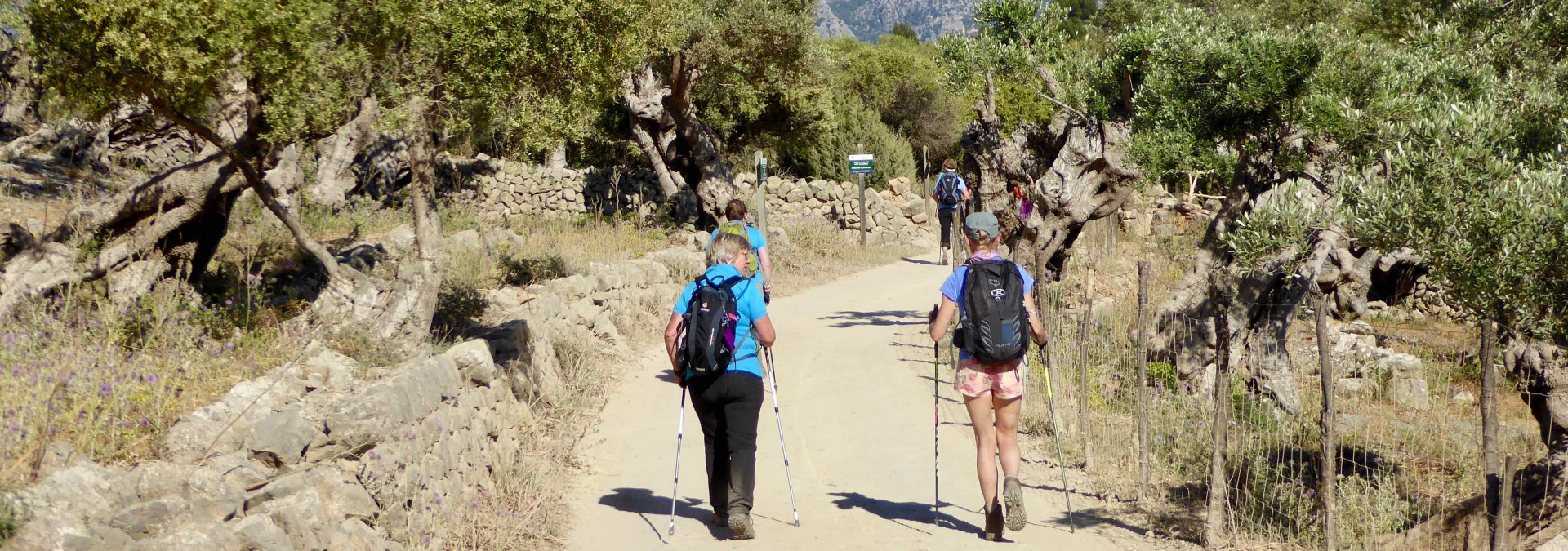 Mallorca Serra de Tramuntana