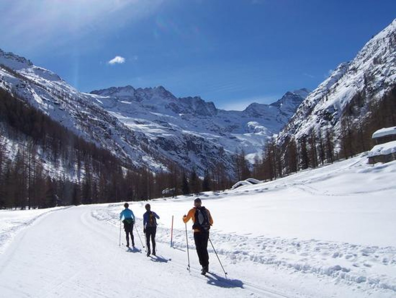 Cross Country Ski-ing