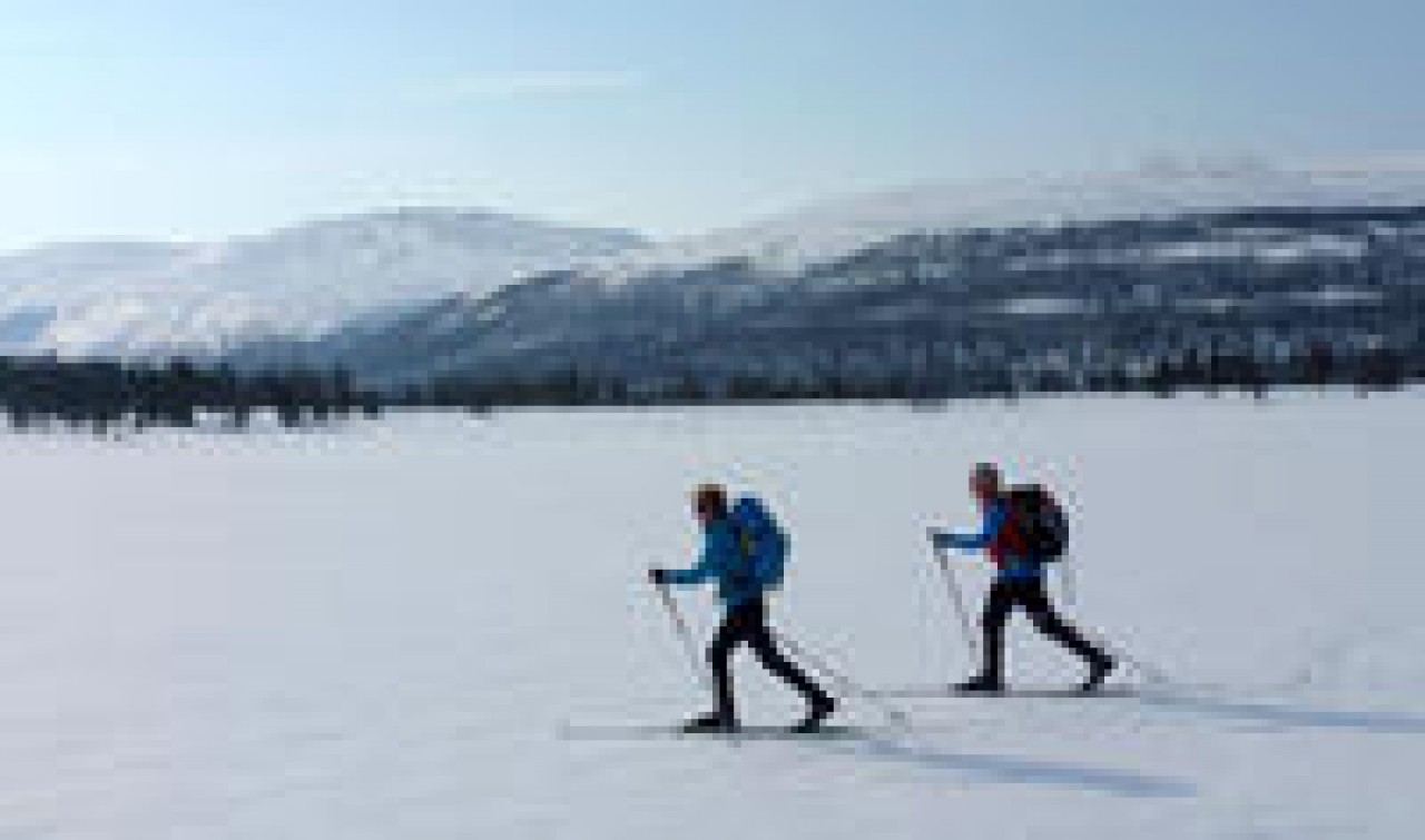 Langlauf: Longrun